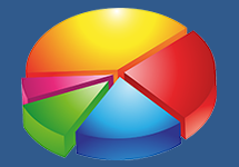 Action Planning and Reporting Strategies